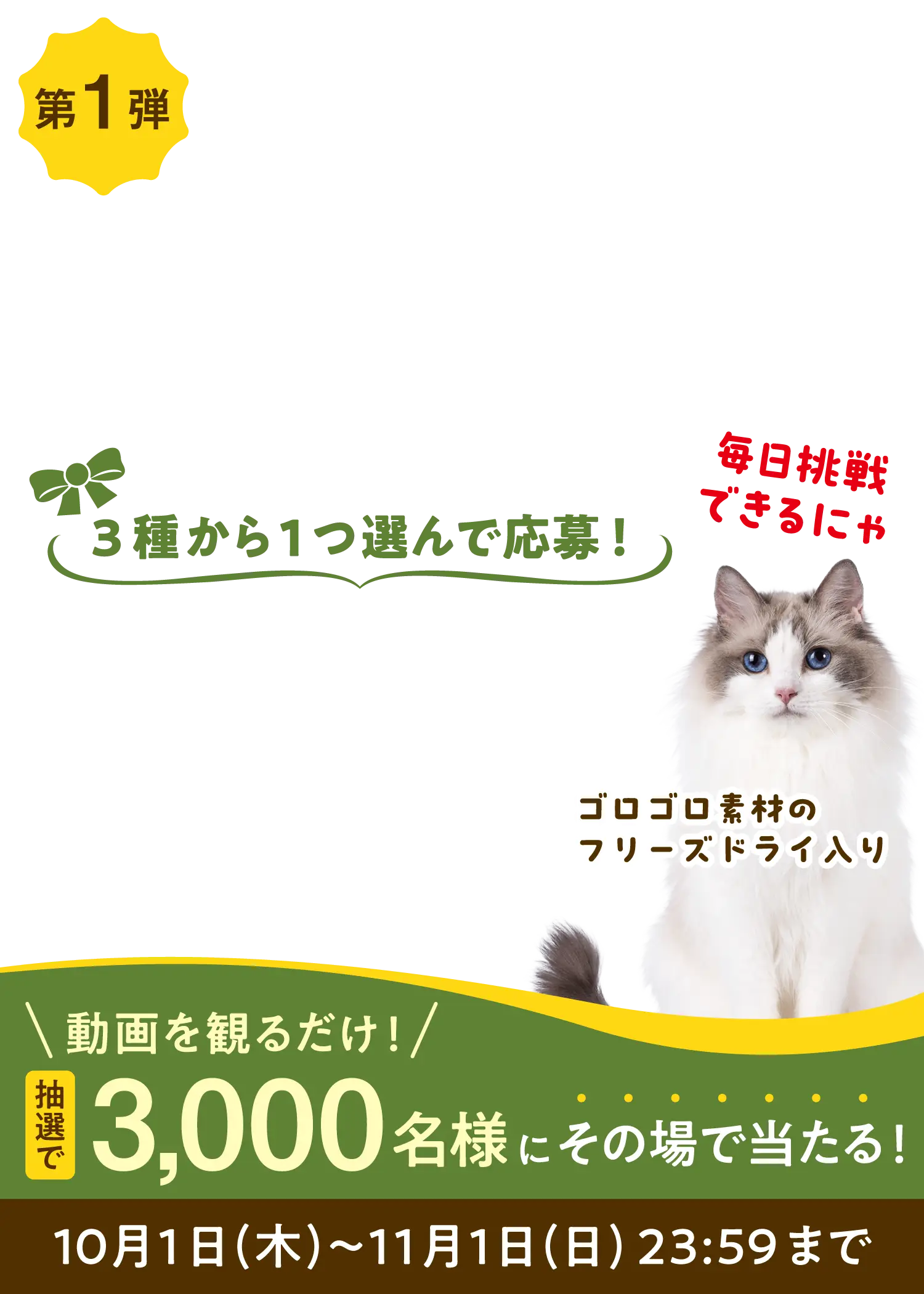 3種から1つ選んで応募！ 毎日挑戦できるにゃ ゴロゴロ素材のフリーズドライ入り 動画を見るだけ！抽選で3,000名様にその場で当たる！ 10月1日(木)〜11月1日(日)23:59まで